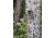 WGI WGITERAXD TERRA XTREME 16MP