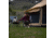 White Duck Altimus Bell Tent, Water Repellent, 14ft, WD-RBT-19