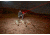 Wicked Hunting Lights W403iC Night Hunting Light Kit, Red, W2013