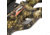 Wicked Ridge Invader X4 Crossbow Package w/Multi-Line Scope, ACUdraw 50, Mossy Oak Country, Medium, WR18005-5531