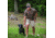 Wildfowler Quick-Dry Short Sleeve Mens T-Shirt, Digital Camo, Medium, QDT-DG-M