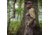 Wildfowler Soft Shell Mens Jacket, Nature Brown, 3XL, S1681-WTNB-3X