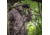 Wildfowler Waterproof Power Parka - Men's, Nature Brown, 2XL, 8147WTNB-2X