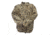 Wildfowler Waterporoof Power Parka - Men's, Mossy Oak Shadow Grass Blades, Medium, 910SG-M