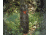 Wildgame Innovations TREEHUGGER 80 lb Feeder System, Trubark, WGIFD0032