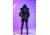 Woodpecker Bumnester 3/4 Coat - Womens, Firebird/Black Gold, L, WPW007-FB-L