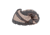 Xero Shoes Mesa Trail Running Shoes - Mens, Desert Brown, 10 US, MTM-DBR-M10