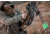 Xpedition Archery Xpedition Trophy 410X Crossbow Package, Mossy Oak DNA, XACW1003