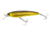 Yo-Zuri 3D Inshore Fingerling Sp 100Mm 4in, Gold Black, R1410-HGBL