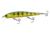 Yo-Zuri 3DB Jerkbait 110 Suspending Lure, 110mm, Natural Perch, R1355 NPC