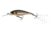 Yo-Zuri 3DB Shad Lure, 70mm, Prism Tennessee Shad, R1104 PTSH