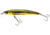 Yo-Zuri Pins Minnow Floating Lure, 90mm, Gold/Black, F1163 GBL