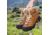 Zamberlan Vioz Lux GTX RR Backpacking Boots - Womens, Waxed Camel, Medium, 8.5, 1996CMW-Medium-8.5
