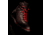 Zamberlan Solden GTX Boots - Men's,Dark Brown,10.5, 1062ZDBM-45-10.5