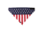 Zanheadgear 3-in-1 USA Flag BV015