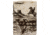 Zippo Western Design Lighter