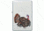 Zippo Wild Turkey Lighter ZO23482