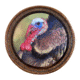 Cupped Waterfowl Outdoors The Grind Barkn Betty Glass Turkey Pot Call with Hickory Striker BA1989B6, RHTG2063