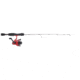 Abu Garcia Vendetta Ice Rod