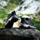 Adidas Terrex Ax2R - Kids, Black/Black/Vista Gray, 11K, BB1935-11K