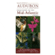 Adirondack Mtn Club Forest &amp; Trees Adk High Peaks 9780935272499