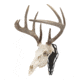 Allen EZ Mount Silhouette Skull Peg, Black, 7233