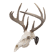 Allen EZ Mount Skull Hanger, Fixed, Brown, 7228