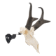 Allen EZ Mount Skull Stand Deer Size, 7203