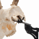 Allen EZ Mount Skull Stand Deer Size, 7203