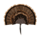 Allen EZ Mount Turkey Fan Display, Brown, 7238