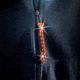 Allen Highly Reflective Flagging Cord, 50-feet, Orange, 470
