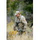 Alpen Apex XP 12x50 Binoculars BAK4 699
