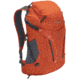 ALPS Mountaineering Baja 20 Backpack, Chili/Gray, 20L, 6052052
