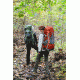 ALPS Mountaineering Red Tail 3900 Pack-Green
