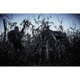 Ameristep Caretaker Run N Gun Blind, Mossy Oak Break Up Country, AMS-AMEBL3031