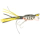 Arbogast Hula Popper Topwater Popper, 2 1/4in, 5/8 oz, Floating, Coachdog Orange Bel, G750-09