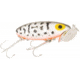 Arbogast Jitterbug Topwater Lure, 2 1/2in, 3/8 oz, Floating, oachdog/Orange Belly, G600-09