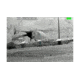 Armasight Command/Pro 640 2-16x50 Thermal Imaging Bi-Ocular, FLIR Tau 2 - 640x512, 17m, 60Hz Core, 50mm Lens TAT166BN5HPRO21