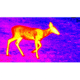 ATN OTS 4T, 4-40x, 640x480, Thermal Viewer w/ Full HD Video rec, WiFi, Smooth zoom, iOS/Android Controlling App, Black, TIMNO4644A