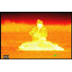 ATN OTS-X-F314, 320x240, 14mm, 30Hz Thermal Imaging Monocular TIMNOTSXF314