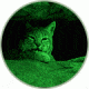 ATN Night Vision