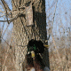 Avery Outdoors Floating Duck Strap,KW-1 58129