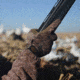 Avery Outdoors Hunter Waterproof Insulated Gloves,BuckBrush,XL 55257