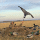 Avery Outdoors M-2 Blind,KW-1 1399