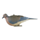 Avery Outdoors Mourning Doves, pair, 72205