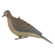 Avery Outdoors Mourning Doves, pair, 72205