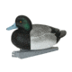 Avery Outdoors PG Blue-Bills-Lesser Scaup, 1/2 dozen, 77138