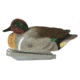 Avery Outdoors PG FFD Elite Green-Winged Teal, 1/2 dozen, 74122