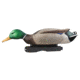 Avery Outdoors PG Mallards-Harvester Pack, 1/2 dozen, 77118