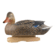 Avery Outdoors PG Mallards-Harvester Pack, 1/2 dozen, 77118